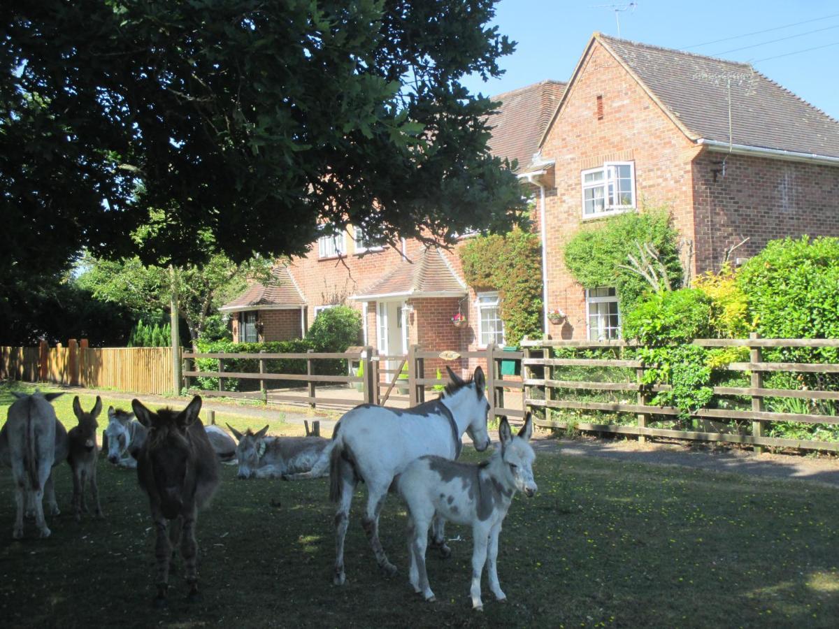 Hops Main House, Brockenhurst, New Forest别墅 外观 照片