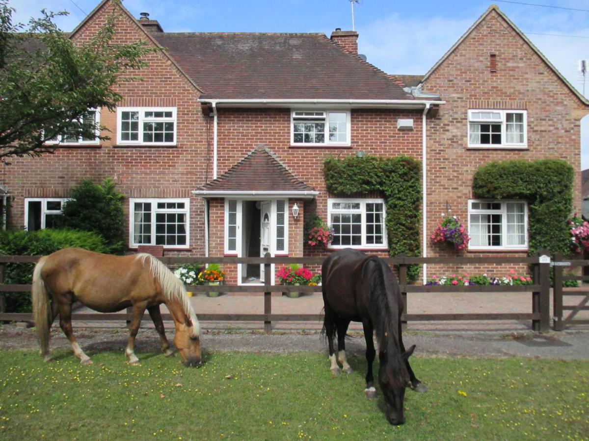 Hops Main House, Brockenhurst, New Forest别墅 外观 照片