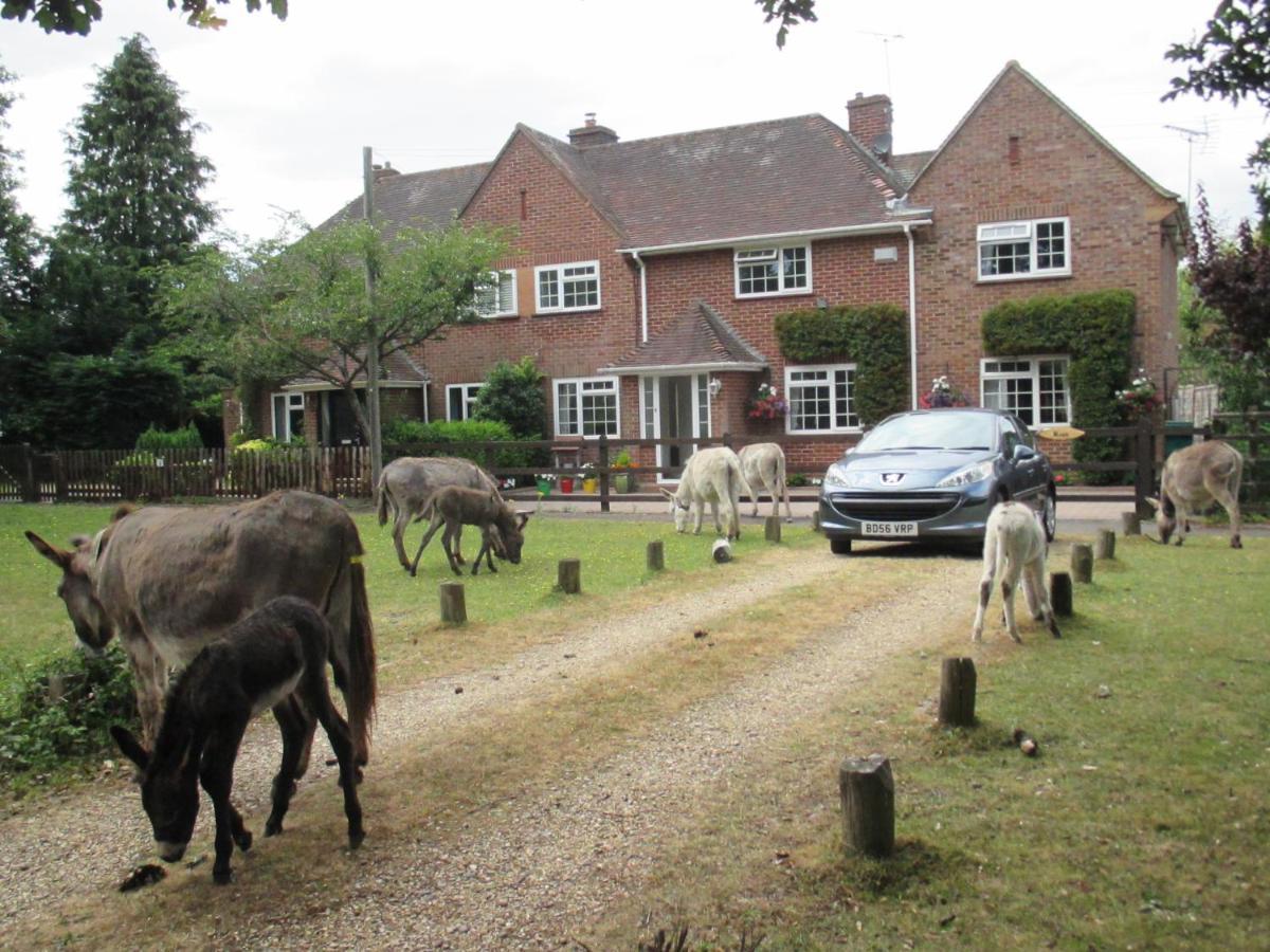 Hops Main House, Brockenhurst, New Forest别墅 外观 照片